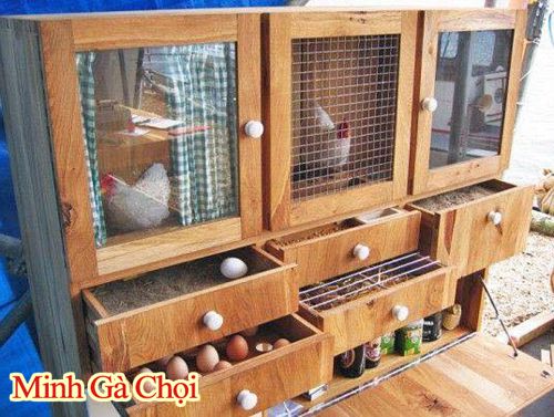 Chuồng gà đẻ trứng tiện lợi.