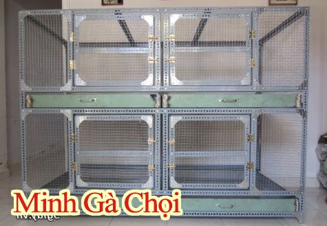 Chuồng gà sắt V lỗ