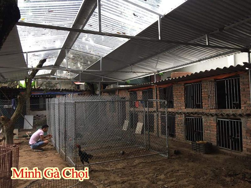 Chuồng gà B40 dạng quây tròn theo từng ô nhỏ.