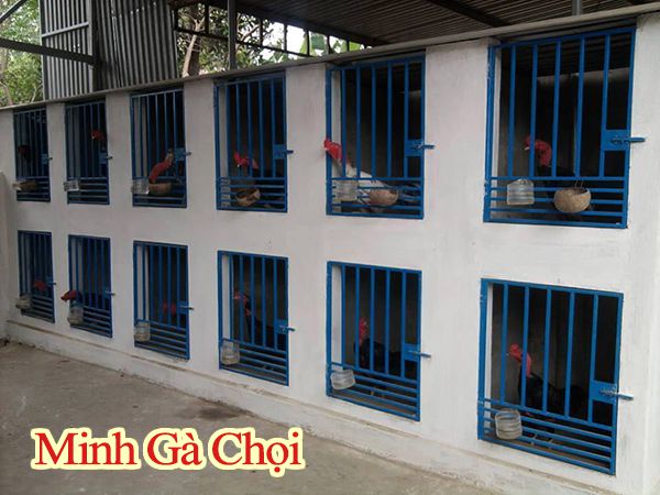 Chú ý hướng làm chuồng gà tránh mưa nắng trực tiếp.