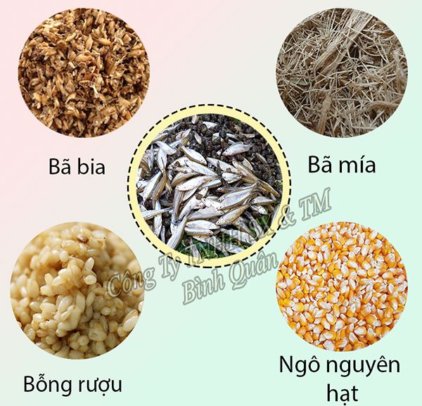 Những hệ thống thức ăn cho gà thả vườn