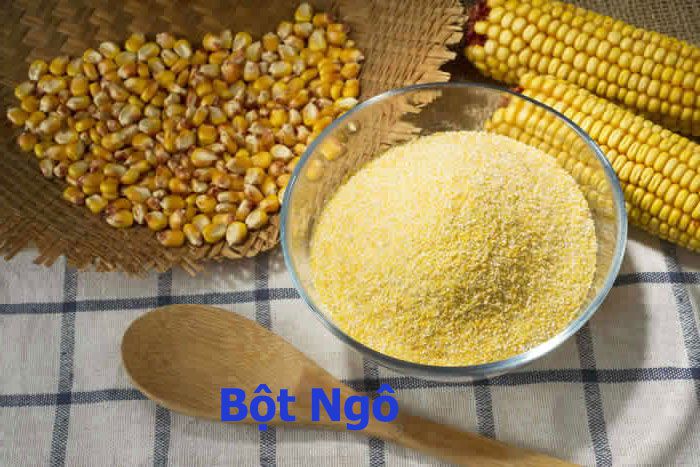 bột ngô cho gà thả vườn