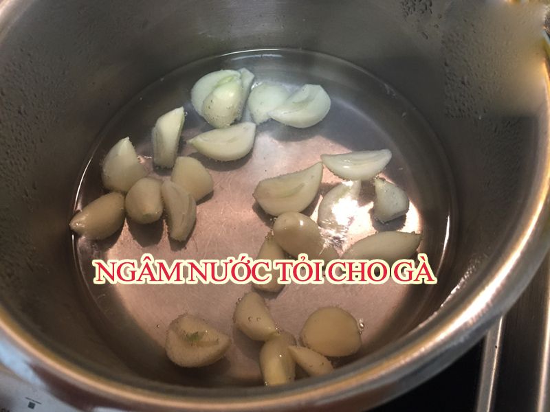 ngâm nước tỏi cho gà trị hen