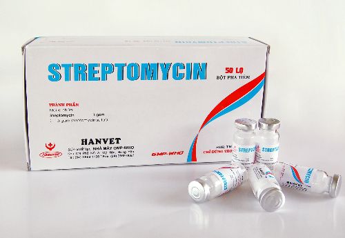 Thuốc kháng sinh Streptomycin cho gà chữa bệnh gà bị khô chân